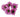 daisy-lavender