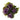 kale-purple