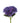 hydrangea-purple