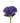 hydrangea-purple
