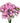 dianthus-light_pink