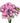 dianthus-light_pink