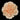 carnation-peach