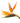 birds_of_paradise
