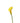 mini_calla_lily-yellow