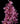 cymbidium_orchid_mini-dark_pink