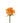 rose-orange-orange_unique-2