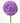 allium-purple