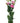 lisianthus-pink-2