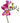 freesia-pink
