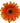 gerber_daisy-orange