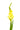 gladiola-yellow