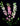 larkspur-pink