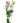 lisianthus-pink-1
