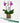 product-plant_stake
