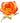 rose-bicolor_circus-yellow_orange