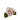rose-cream-menta-3