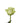 rose-green-jade-2