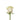 rose-light_pink-pink_mondial-1