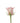 rose-light_pink-sophie-1