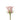 rose-light_pink-sophie-1