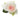 rose-light_pink_pastella