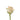 rose-peach-tiffany-1