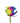 rose-tinted-rainbow_tint-1