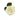 rose-white-mondial-3