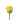 rose-yellow_goldstrike-1