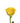 rose-yellow_goldstrike-2