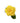 rose-yellow_goldstrike-3