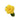 rose-yellow_goldstrike-3