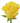 rose-yellow_sonrisa