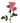 spray_rose-lavender-3