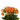 spray_rose-orange-1