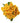 spray_rose-yellow-2