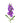 stock-purple