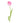 tulip-light_pink
