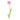 tulip-light_pink
