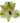 Alstroemeria, Green