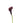 Calla Lily Mini, Burgundy