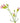 Carnation Mini, Light Pink