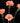 Carnation Mini, Orange