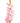 Gladiola, Light Pink