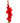 Gladiola, Red