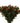 Hypericum Berry, Red