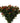 Hypericum Berry, Red