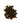 Hypericum Berry, Red