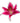 Stargazer Lily